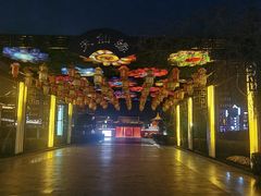 -东台西溪天仙缘景区