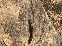 -碓臼峪自然风景区