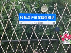 -榴莲咖啡馆