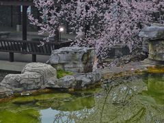 -武汉园博园(武汉自然博物馆)