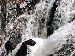 -莫里热带雨林景区