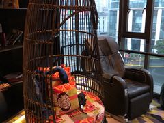 -上海外滩英迪格酒店