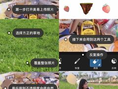 -九龙湖公园