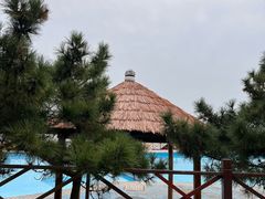 -日照海滨国家森林公园