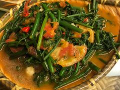 番茄炒水蕨菜-多哥水傣味餐厅(司马巷店)