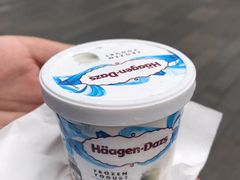 -哈根达斯(武汉天地店)