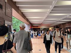 -香港大学