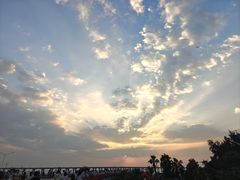 -宝安西湾红树林湿地公园