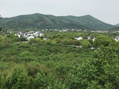-香雪海