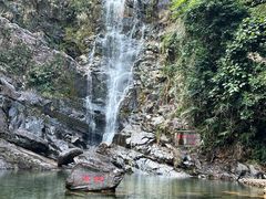 -鼎湖山风景区