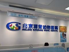 -北京观赏动物医院·24小时大型综合·猫专科·异宠专科