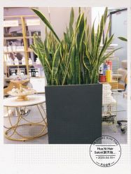 -FUTURE HN男士发型风格设计