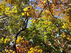 -终南山南五台景区