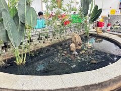 -夏家大锅台炖鱼馆