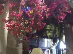 -范设计花园餐酒咖·中西餐·咖啡厅·酒馆