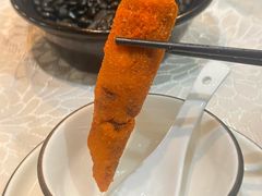-丁老爷子苏香圆