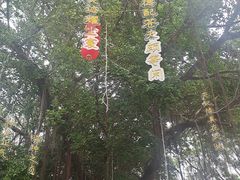 -湄洲岛