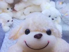 -爱玩嘉年华(龙湖源著天街店)