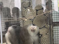 -黔灵山公园