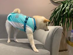 -LR HOUSE美甲美睫