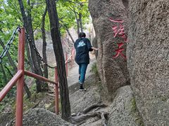 -吉林市朱雀山国家森林公园