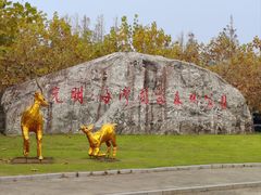 -上海海湾国家森林公园