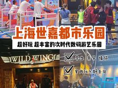 -上海JOYPOLIS环游嘉年华主题乐园