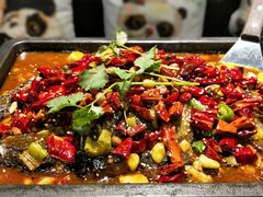 -晓鲜熊猫烤鱼烤吧(西三旗百汇北门店)