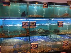 水产区-南海渔家•海鲜•正宗海南菜(海棠湾店)