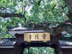 -法云安缦酒店