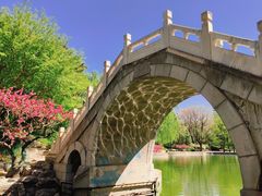 -团结湖公园