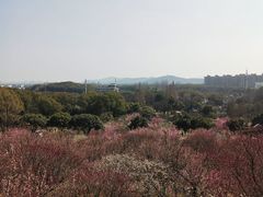 -无锡梅园公园