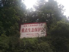 -铁山坪森林公园