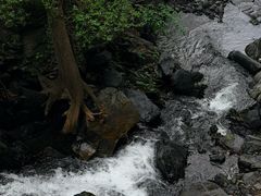 -凤凰山国家森林公园