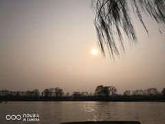 -大兴滨河森林公园