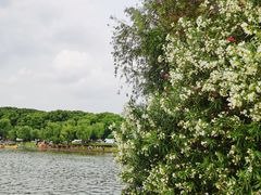 -黄兴公园