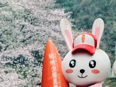 -杭州少年儿童公园