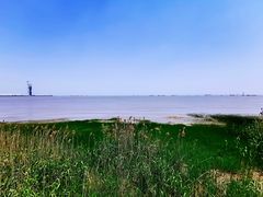 -上海吴淞炮台湾国家湿地公园