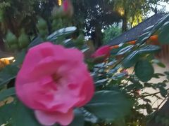 -大妙火锅·非物质文化遗产(东湖公园店)