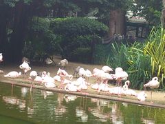 -九龙公园