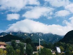 -王顺山国家森林公园