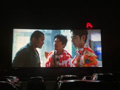 -枫花园汽车电影院(朝阳公园店)