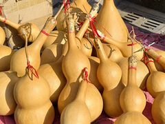 -中环花鸟鱼虫市场