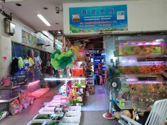 -双季花艺园艺市场(浦东店)