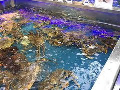 -盒马渔市餐厅