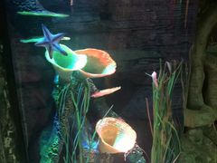 -沈阳海洋探索中心