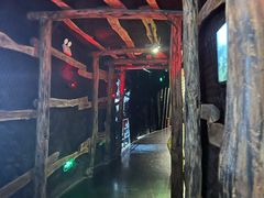 -陕西自然博物馆