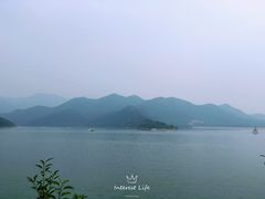 -望湖烤鱼