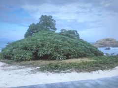 -三亚蜈支洲岛旅游区