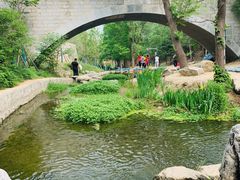 -白水寺森林公园